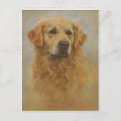 Golden Retriever Postkarte (Vorderseite)