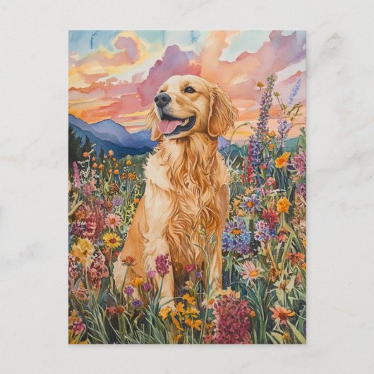 Golden Retriever - Postkarte (Vorderseite)