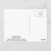 Golden Retriever Postkarte (Rückseite)