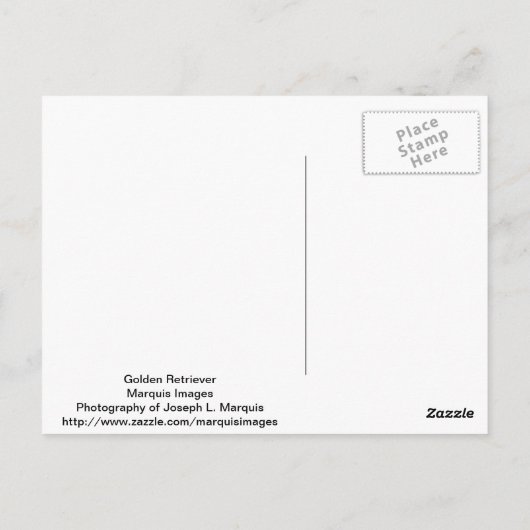 Golden Retriever Postkarte (Rückseite)