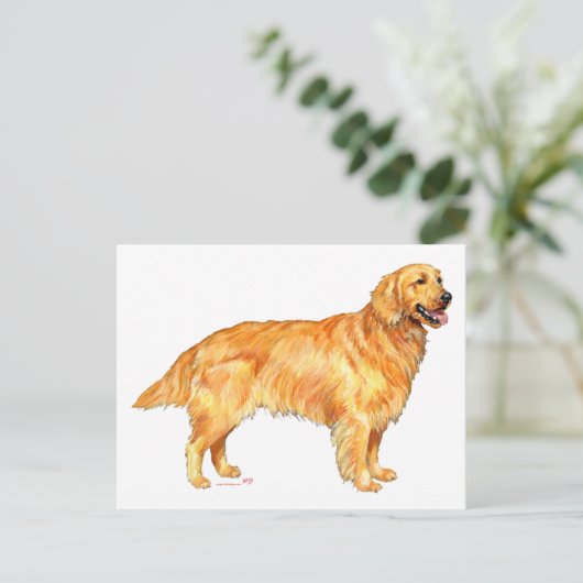 Golden Retriever Postkarte (Stehend Vorderseite)