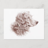 Golden Retriever Postkarte (Vorderseite)