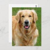Golden Retriever Postkarte (Vorne/Hinten)