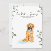 Golden Retriever Pregnancy Announcement Ankündigung (Vorderseite)