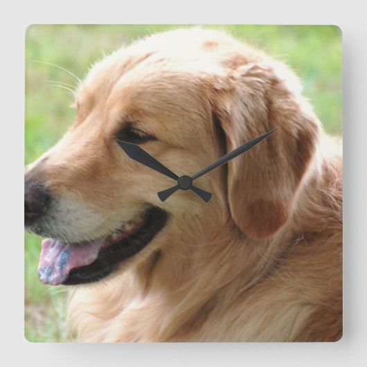 Golden Retriever Pup Clock Quadratische Wanduhr (Vorderseite)