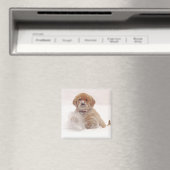 Golden Retriever Pup im Schnee Magnet (In Situ (Geschirrspüler))