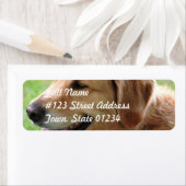 Golden Retriever Pup Mailing Labels (Insitu)
