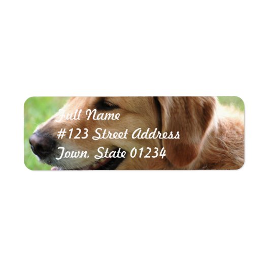 Golden Retriever Pup Mailing Labels (Vorne)