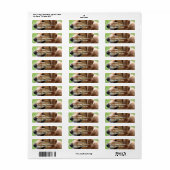 Golden Retriever Pup Mailing Labels (Vorne)