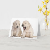 Golden Retriever puppies (4 weeks old) Karte (Gelbe Blume)