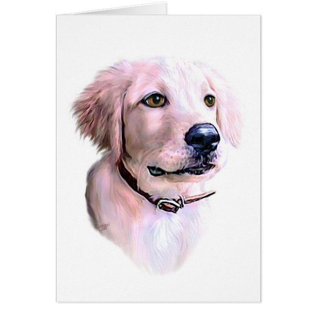 Golden Retriever Puppy (Vorne)