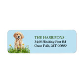 Golden Retriever Puppy (Vorne)