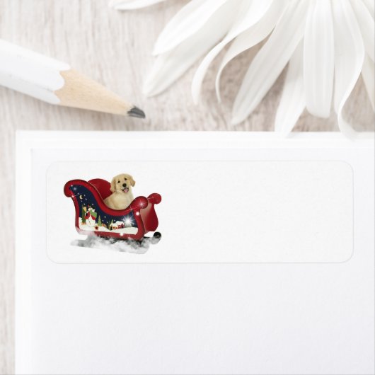 Golden Retriever Puppy (Insitu)