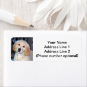 Golden Retriever Puppy (Insitu)