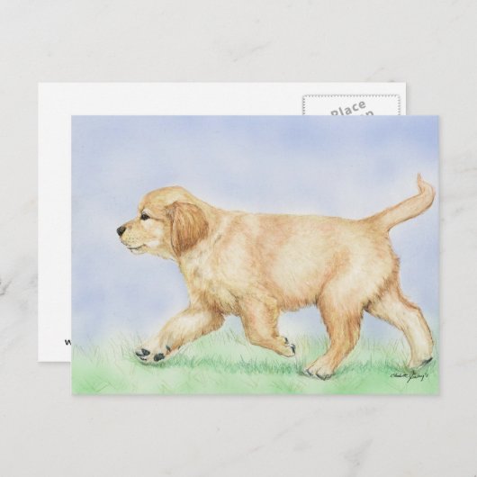 Golden Retriever Puppy Art Postkarte (Vorne/Hinten)