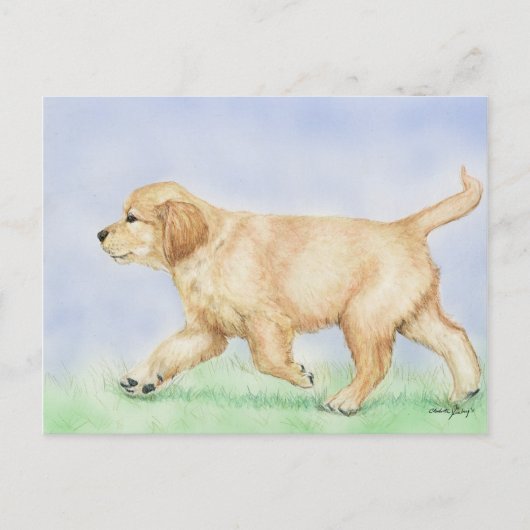 Golden Retriever Puppy Art Postkarte (Vorderseite)