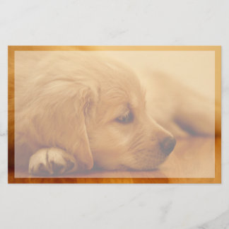 Golden Retriever Puppy Briefpapier