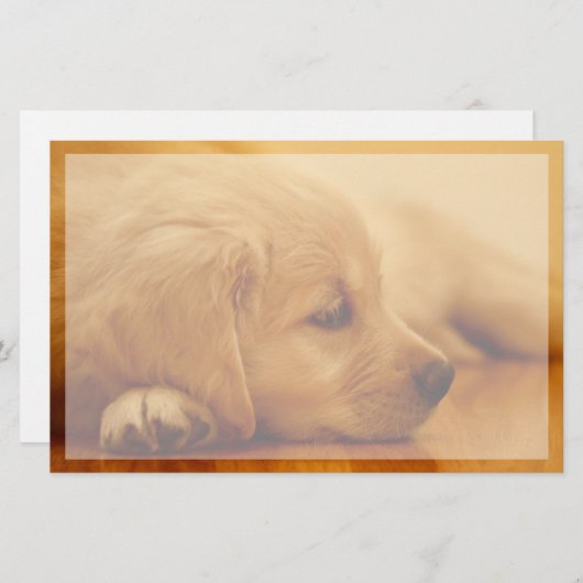 Golden Retriever Puppy Briefpapier (Vorne/Hinten)