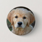 Golden Retriever Puppy Button (Vorderseite)