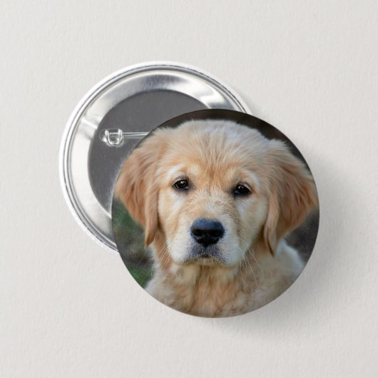 Golden Retriever Puppy Button (Vorne & Hinten)