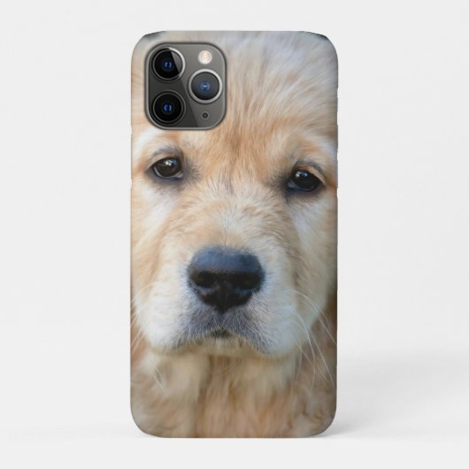 Golden Retriever Puppy Case-Mate iPhone Hülle (Rückseite)