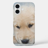 Golden Retriever Puppy Case-Mate iPhone Hülle (Rückseite)