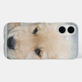 Golden Retriever Puppy Case-Mate iPhone Hülle (Rückseite (Horizontal))