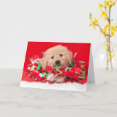 Golden Retriever Puppy Christmas Card Karte (Gelbe Blume)