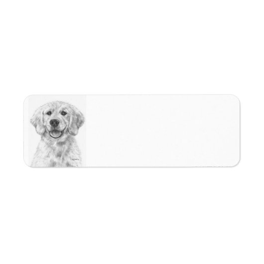 Golden Retriever Puppy Cody (Vorne)
