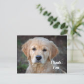Golden Retriever Puppy Danke, Postkarte (Stehend Vorderseite)