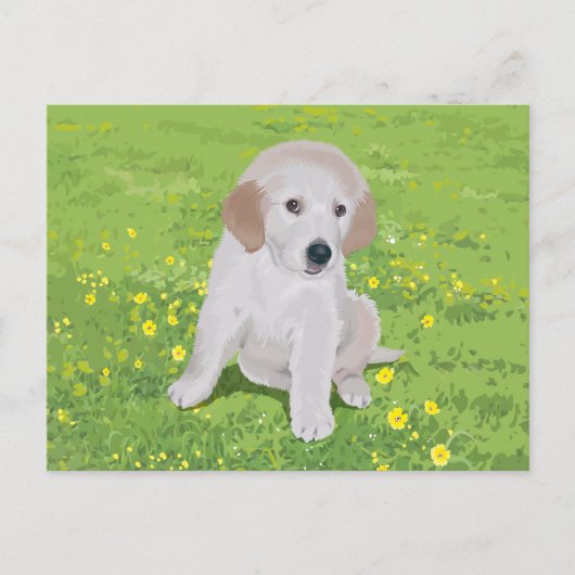 Golden Retriever Puppy Dock Postkarte (Vorderseite)