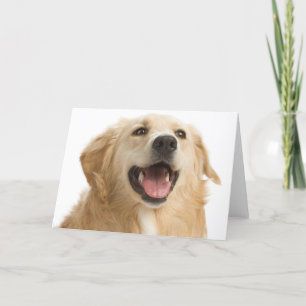 Golden Retriever Puppy Dog Blank Greeting Notecard Karte