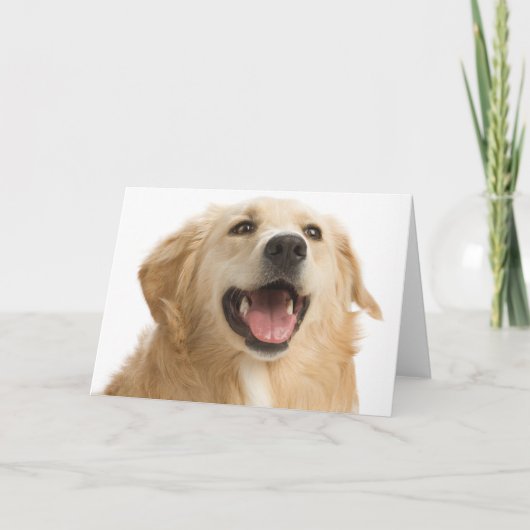 Golden Retriever Puppy Dog Blank Greeting Notecard Karte (Vorderseite)