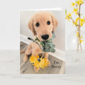Golden Retriever Puppy Dog Ich bin Entschuldigung  Karte (Gelbe Blume)