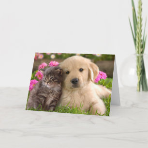 Golden Retriever Puppy Dog & Kitten Liebe Karte