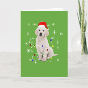 Golden Retriever Puppy Doliday Weihnachten