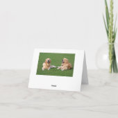 Golden Retriever Puppy Dose Blank Karte (Rückseite)