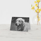 Golden Retriever Puppy Dose Blank Karte (Gelbe Blume)