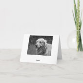 Golden Retriever Puppy Dose Blank Karte (Rückseite)