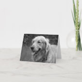 Golden Retriever Puppy Dose Blank Karte (Vorderseite)