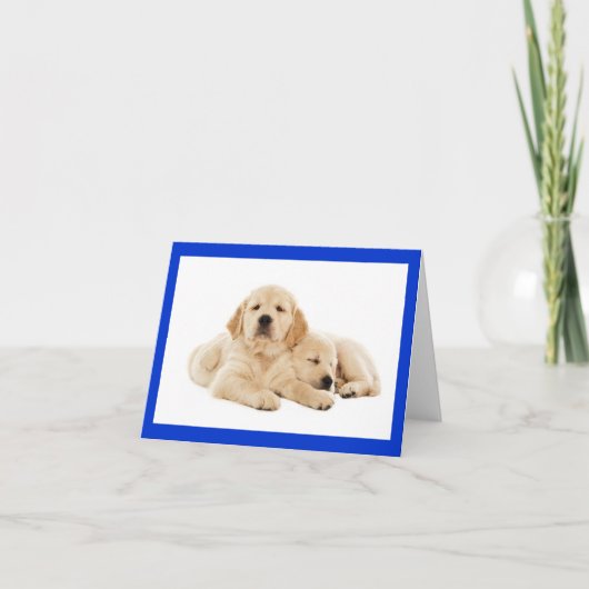 Golden Retriever Puppy Dose Blank Note Card Karte (Vorderseite)