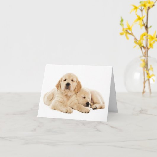 Golden Retriever Puppy Dose Blank Note Card Karte (Gelbe Blume)