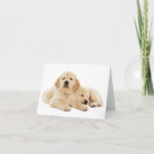 Golden Retriever Puppy Dose Blank Note Card Karte (Vorderseite)