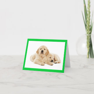 Golden Retriever Puppy Dose Blank Note Card Karte