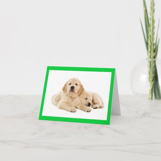 Golden Retriever Puppy Dose Blank Note Card Karte (Vorderseite)