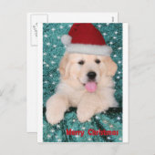 Golden Retriever Puppy Feiertagspostkarte (Vorne/Hinten)