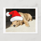 Golden Retriever Puppy Feiertagspostkarte (Vorderseite)