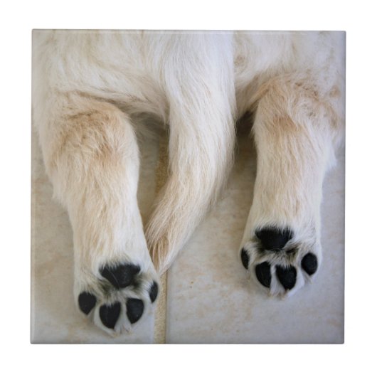 Golden Retriever Puppy Fliese (Vorderseite)