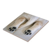 Golden Retriever Puppy Fliese (Seite)