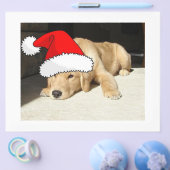 Golden Retriever Puppy Flyer (Einzeln)